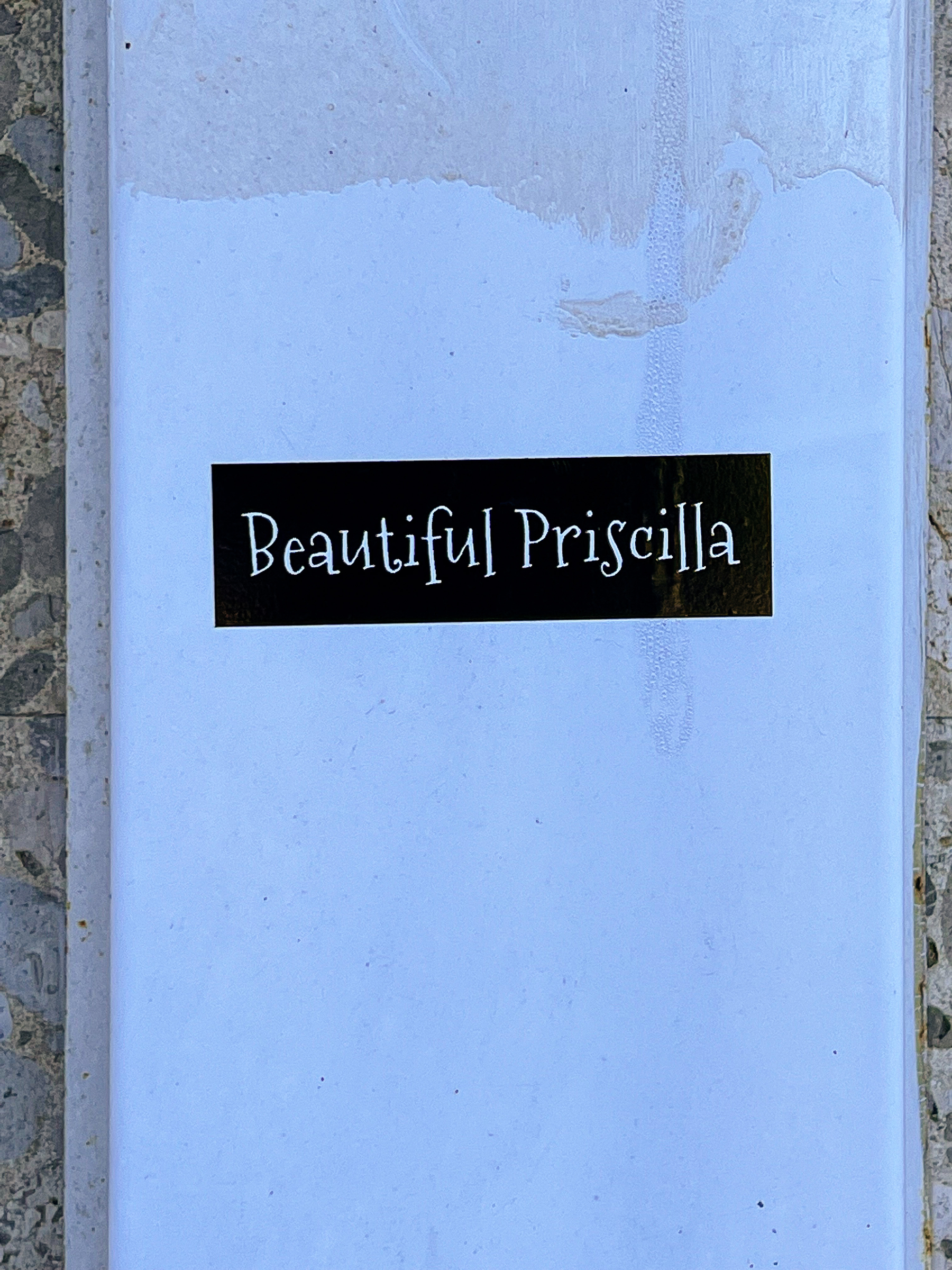 A simple sticker, with the words “Beautiful Priscilla”. 