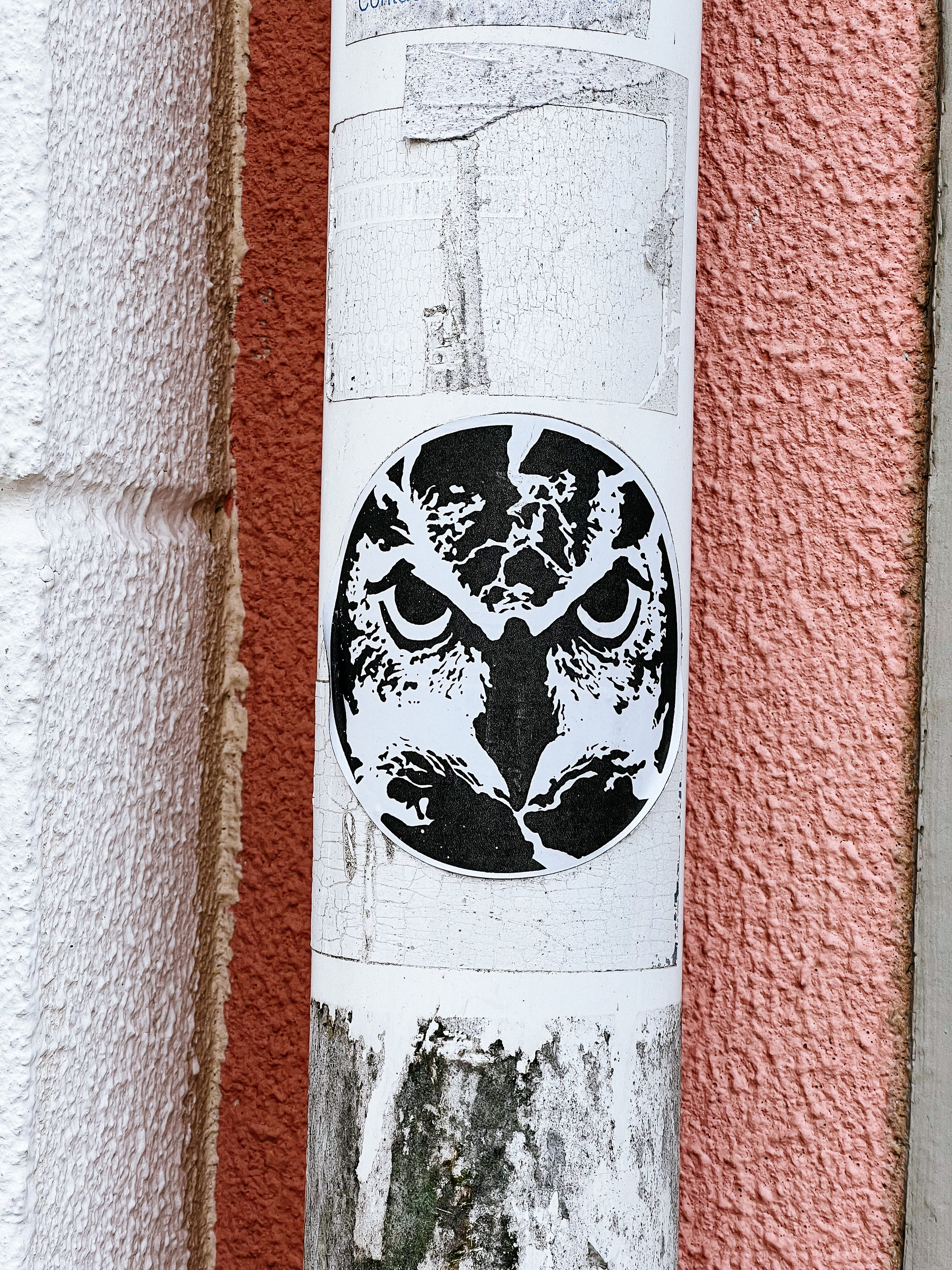 Sticker with an owl’s face. 