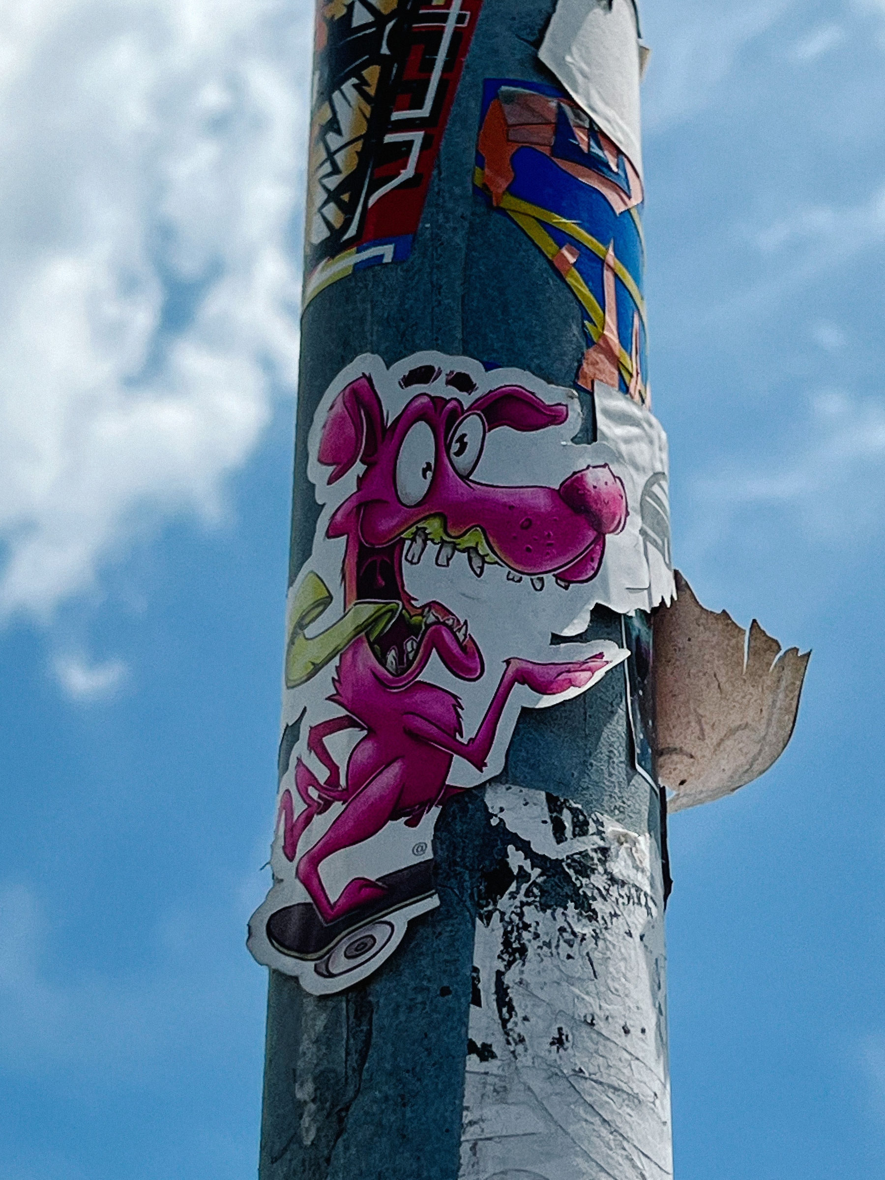 Sticker with a drawing of a crazy looking pink dog, riding a skateboard. 