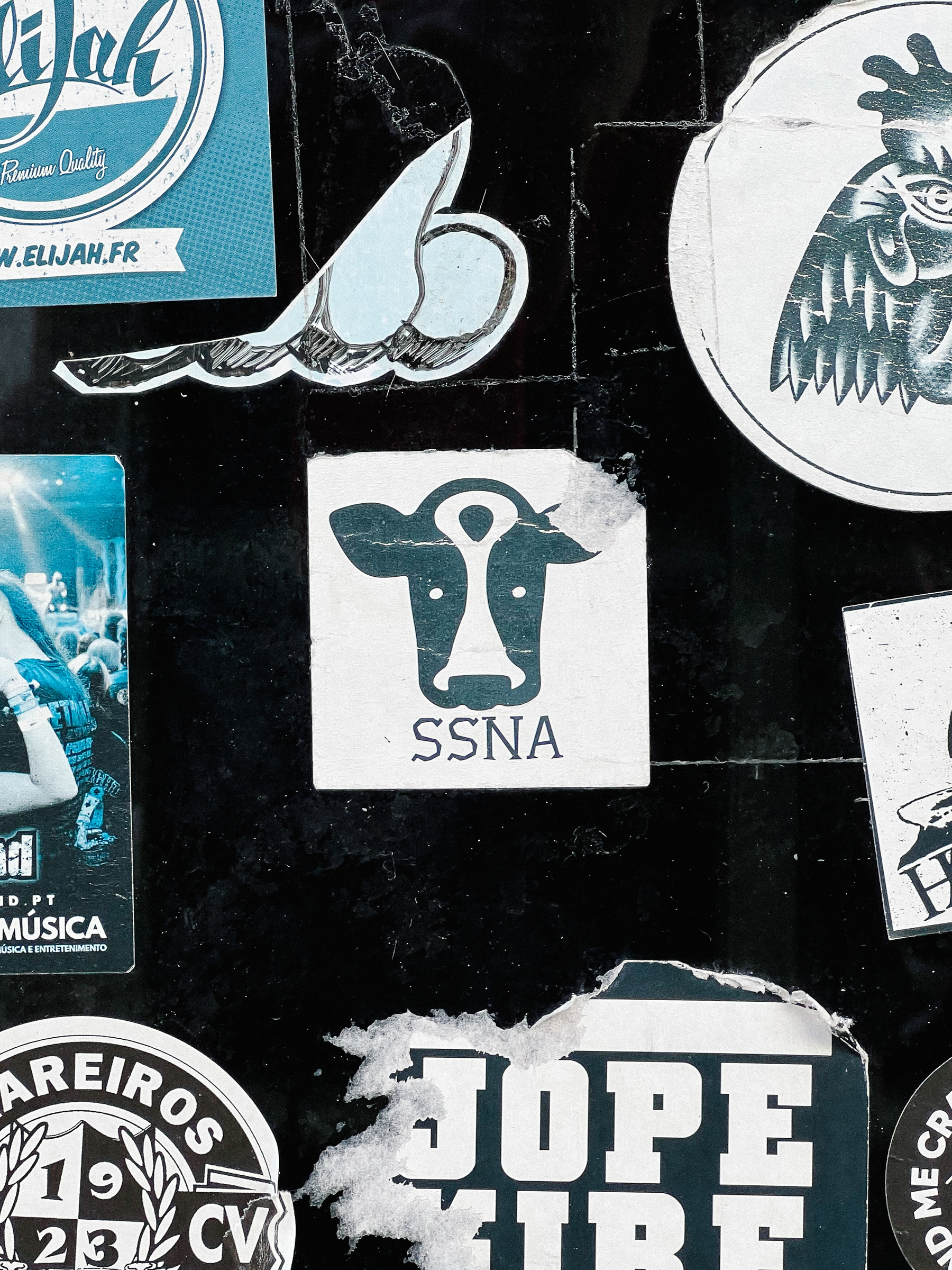 Sticker with a cow’s face, and “SSNA”. 