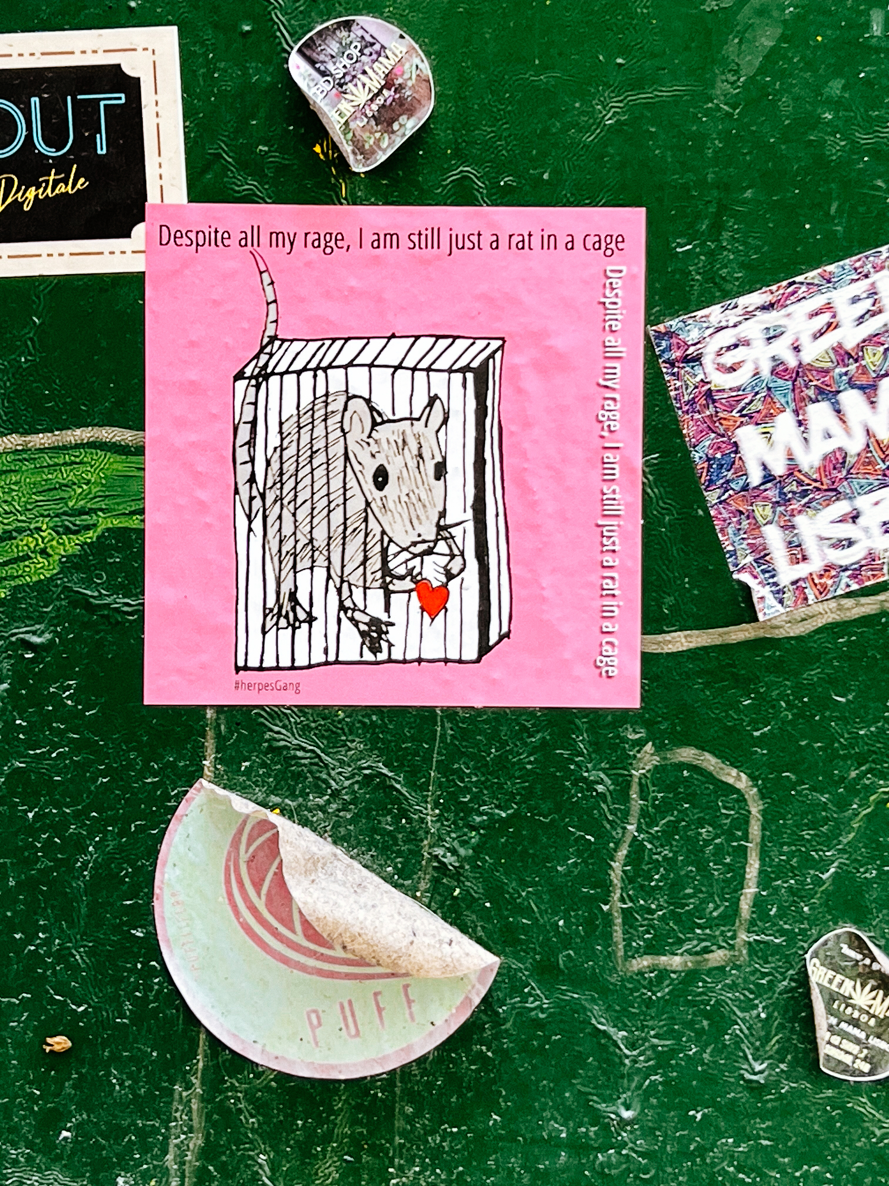 “Despite all my rage, I am still just a rat in a cage”. And a rat in a cage, holding a heart. Sticker. 