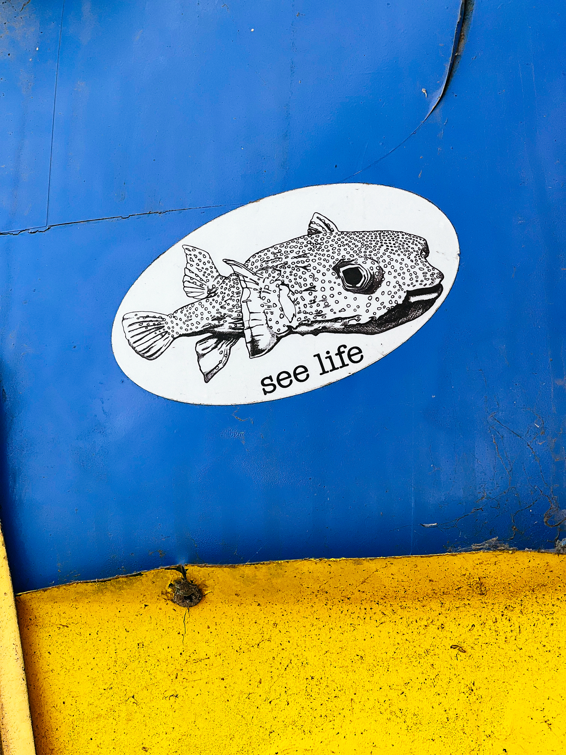 “See life”, and a drawing of a fish. On a sticker. 
