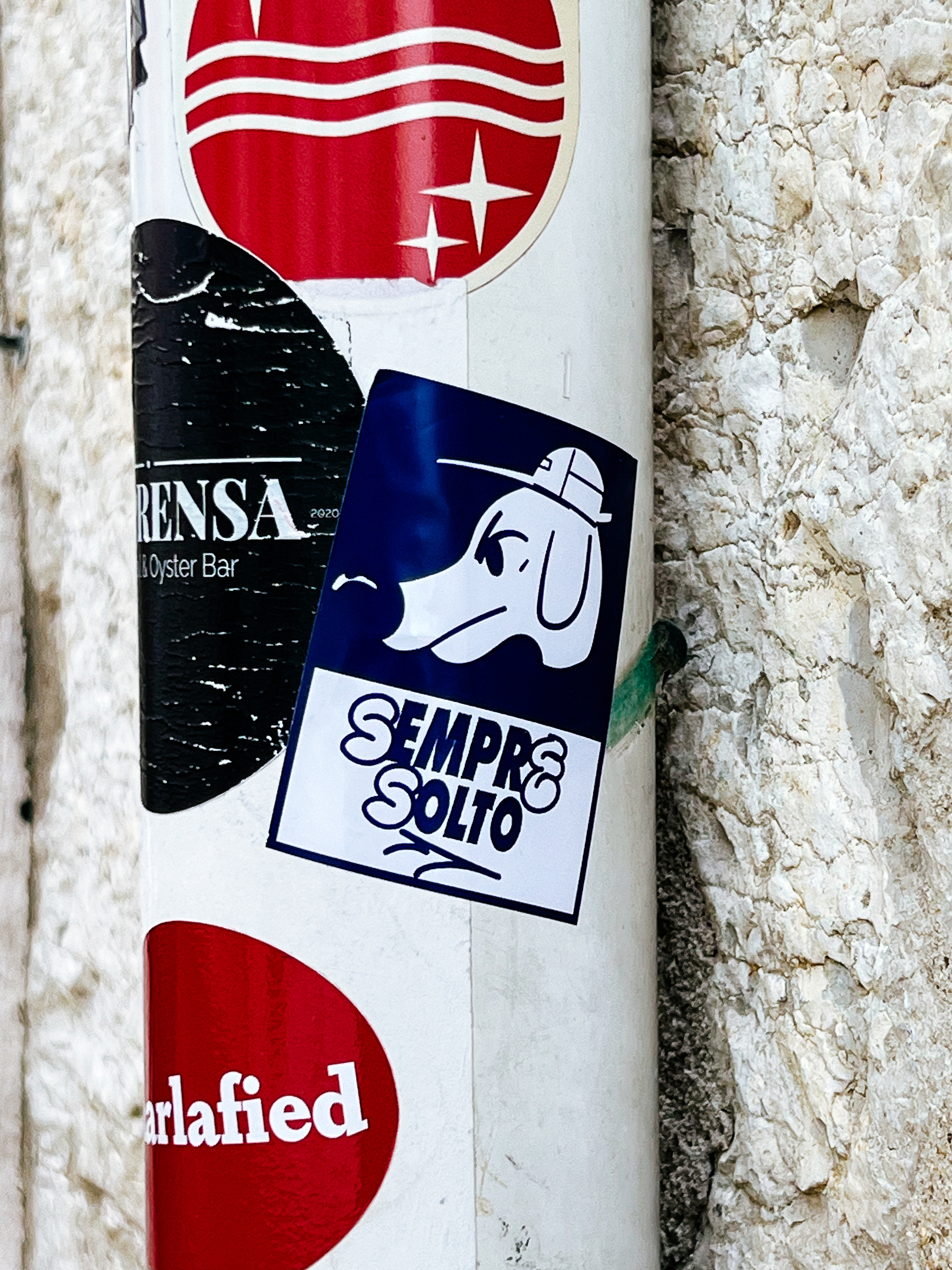 “Sempre Solto”, a dog with a hat. Not looking happy. A sticker. 